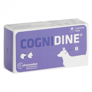 cognidine 60 comprimidos