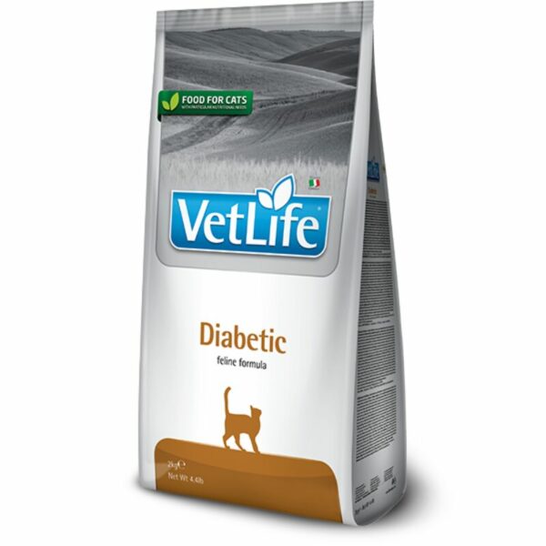 DiabeticCat