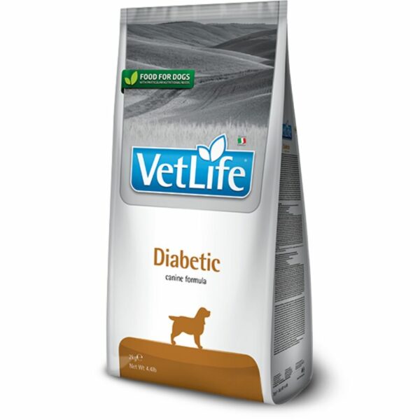 DiabeticDog