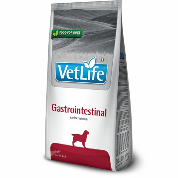 GastrointestinalDog