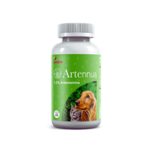 ARTENNUA 90 cápsulas